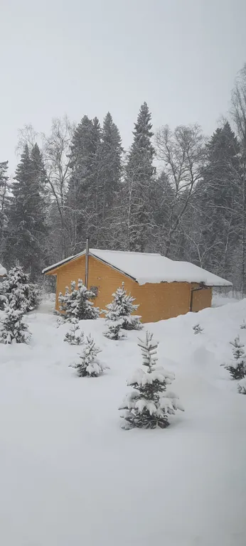 Дом с выходом в лес