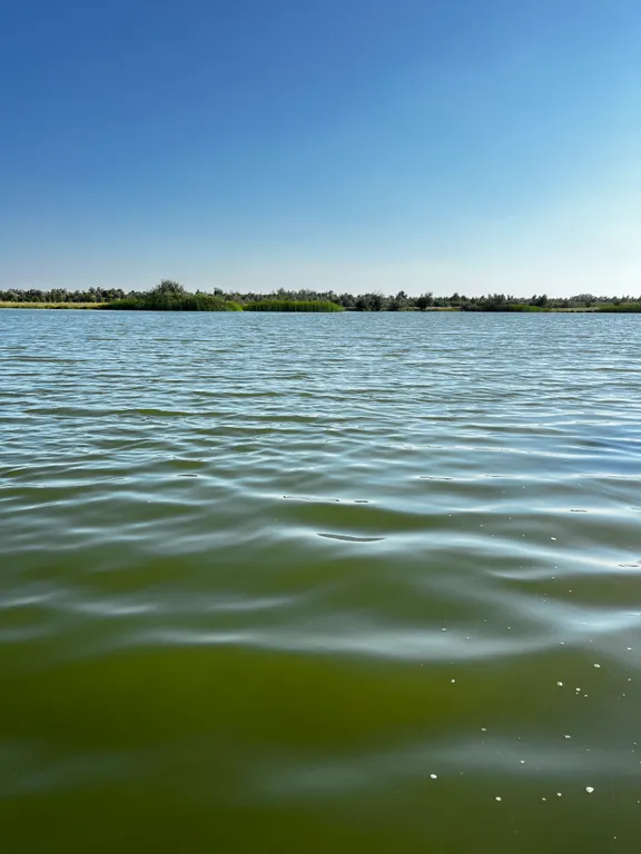 Гостевой дом Енот