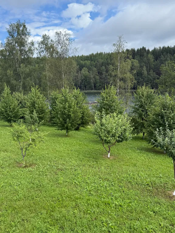 Домик в лесу с озером