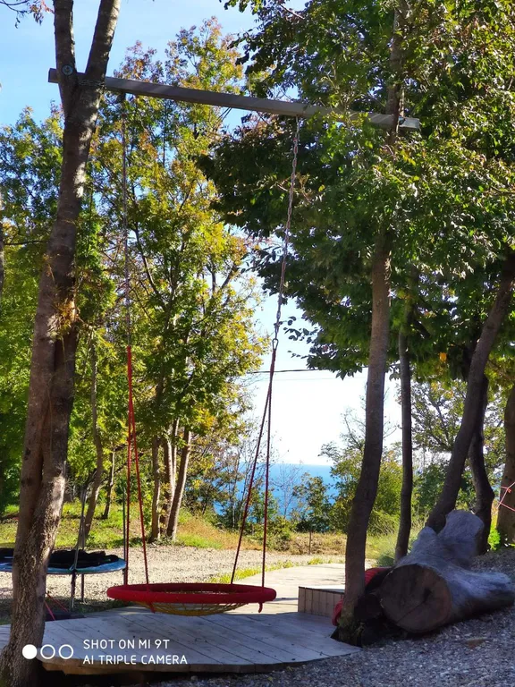 Комфортное проживание в лесу у моря