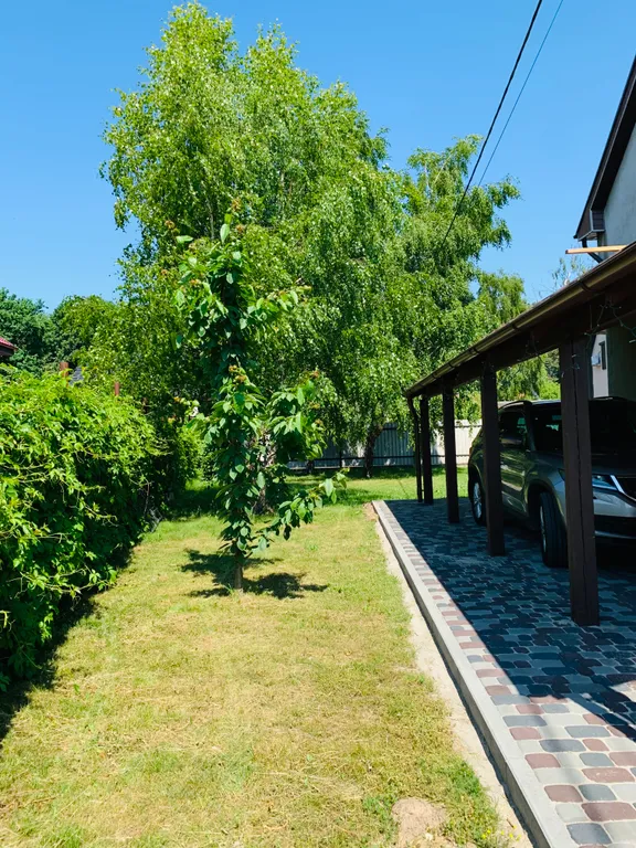 Дом у моря в сосновом бору