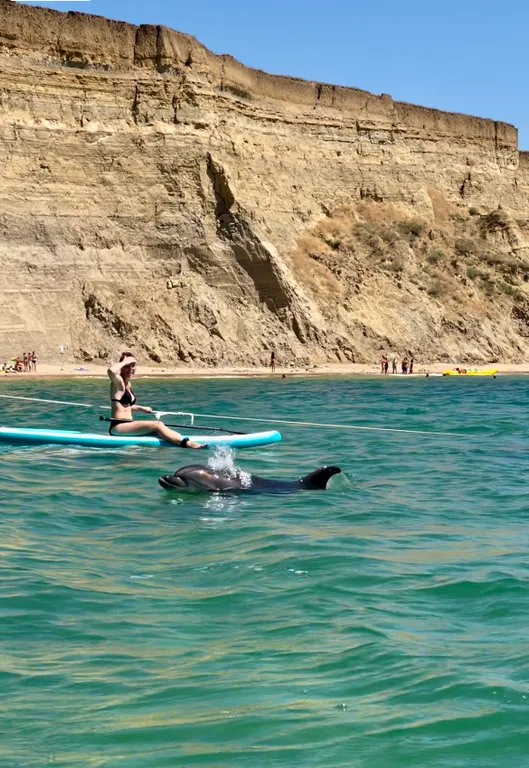 Квартира Квартира Уютная студия у моря со своей беседкой — Волна