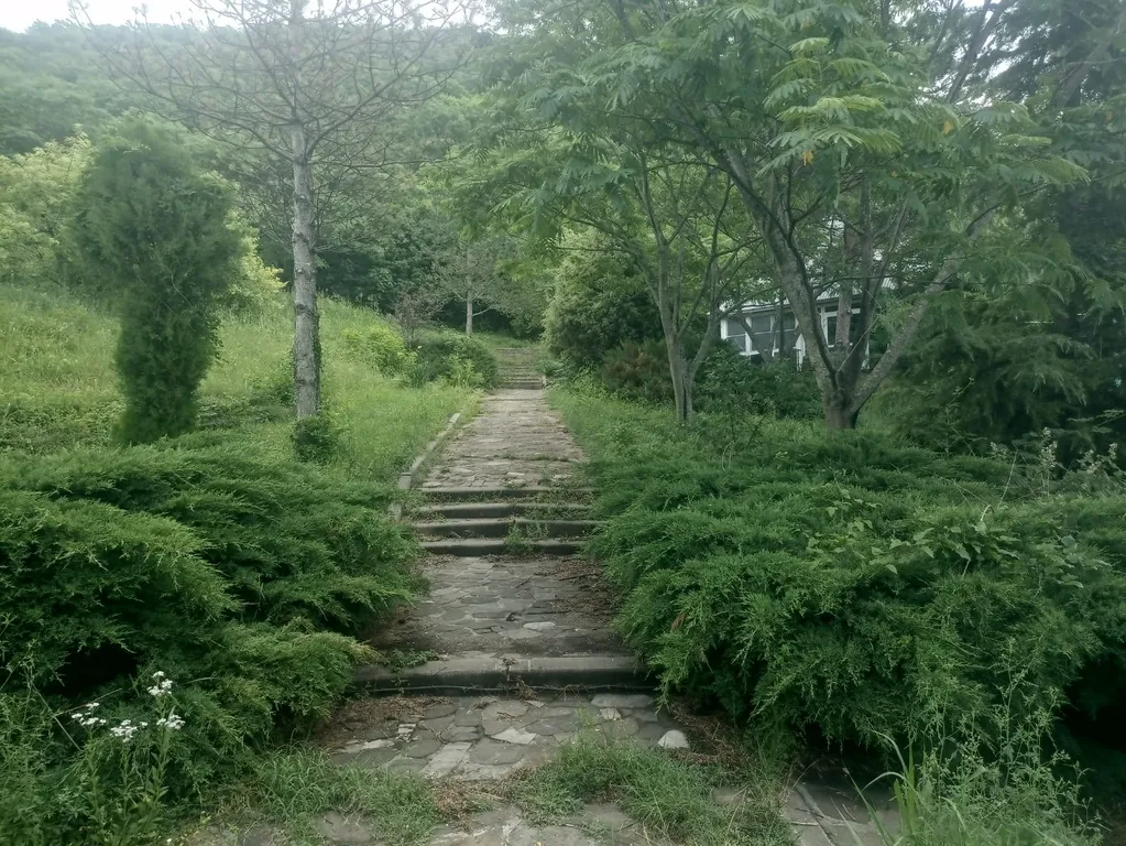 Апартаменты в лесу