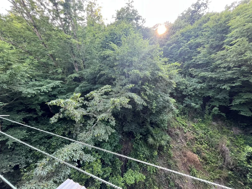 Терем с мансардой в дивном лесу у моря, с новым ремонтом и обстановкой