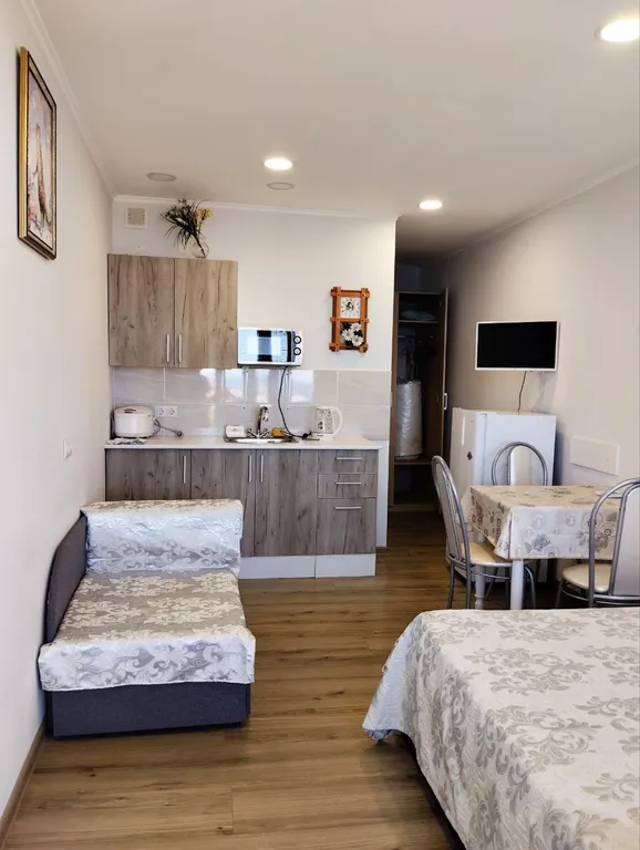 Уютная Белая студия с видом на море