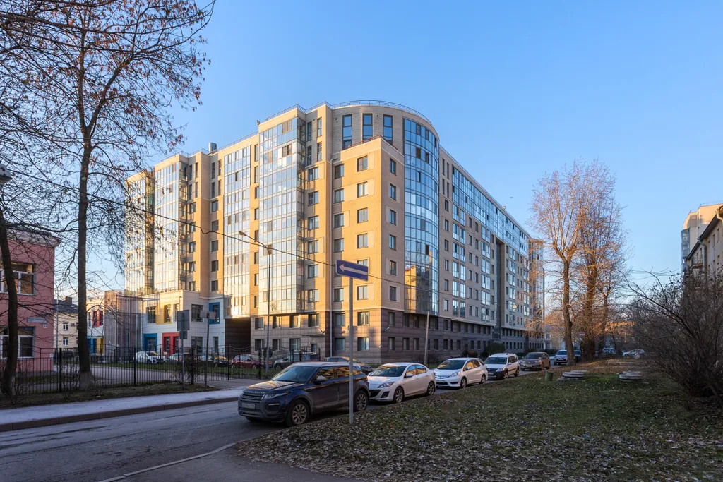 Чайка на Неве рядом с центром