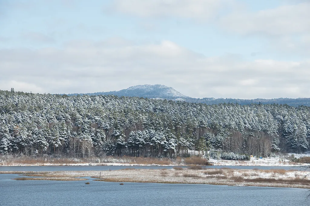 Комфортное жилье за разумные деньги