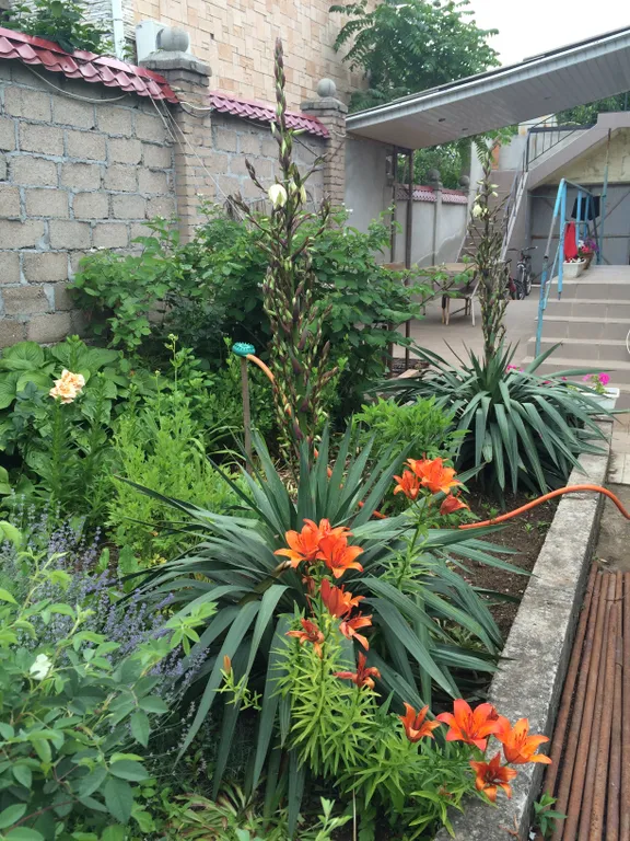 Коттедж Коттедж Дача на Фиоленте — Севастополь