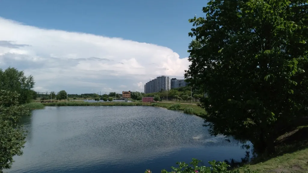 Квартира Уютная комната рядом с двумя метро и КАД — Санкт-Петербург