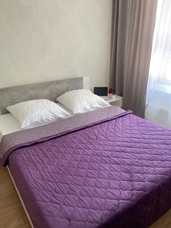 Отличная квартира — аренда посуточно в Барнаул