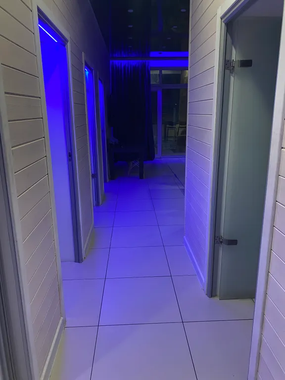 Современный дом в лесу