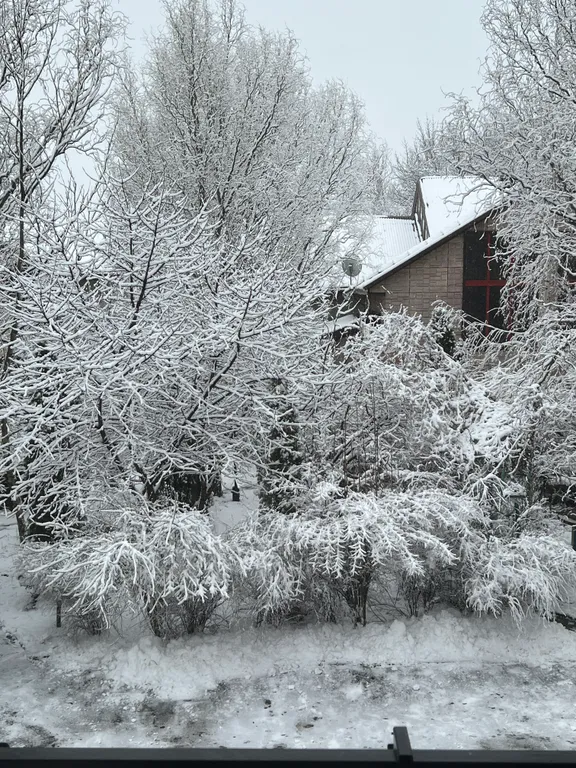 Гостиница с садом и баней