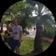 Лилия