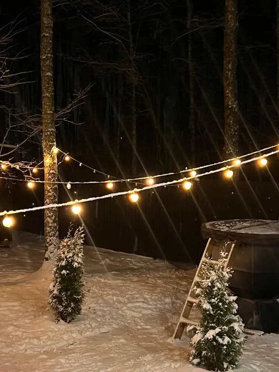 Коттедж Домик в лесу с камином и банным чаном — Москва