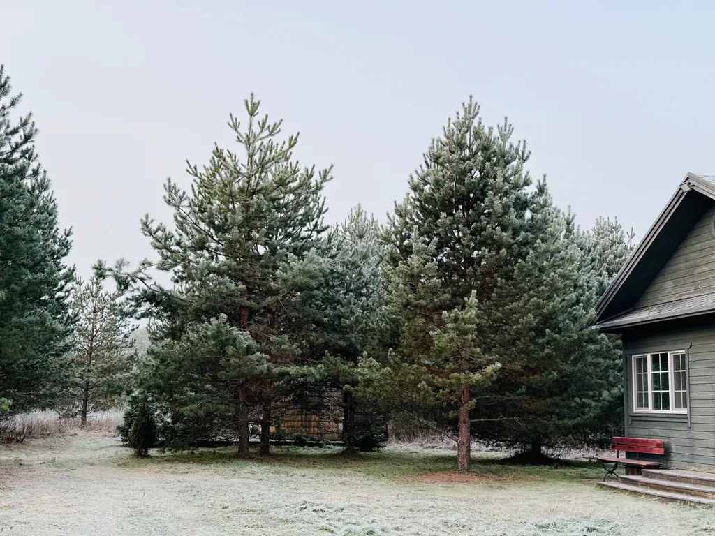 Коттедж Домик под Соснами в Свирском — Лодейное Поле