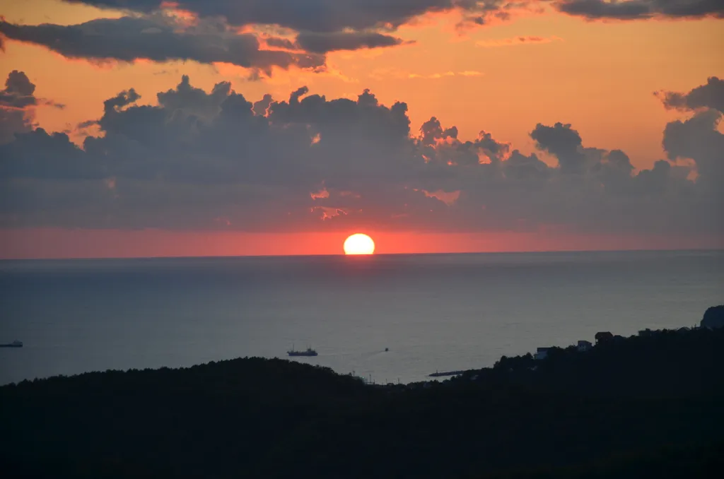 Бревенчатый дом в лесу с бассейном