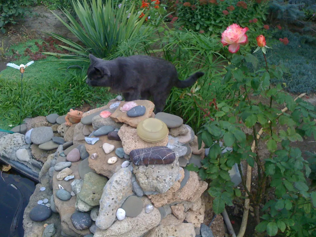 Дом в большом красивом закрытом дворе под ключ