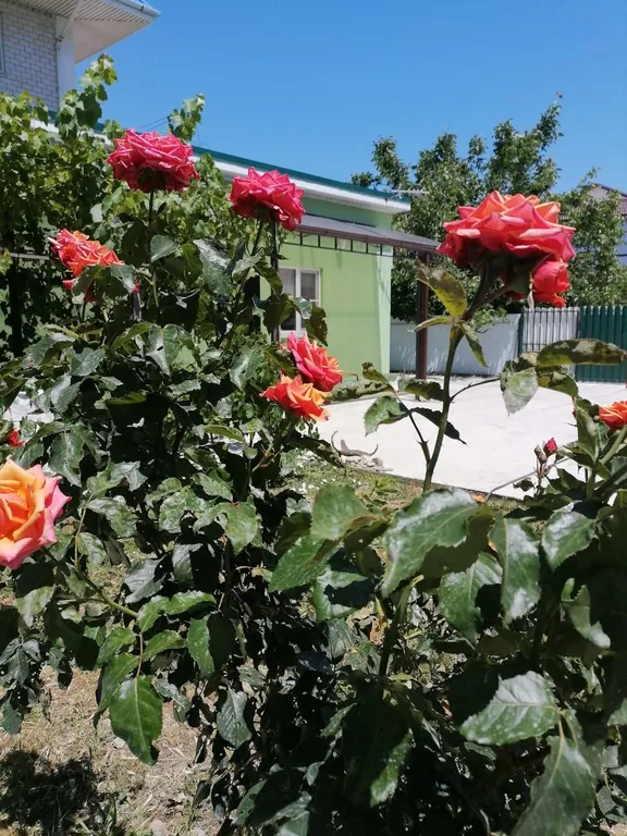 Двухквартирный дом недалеко от моря