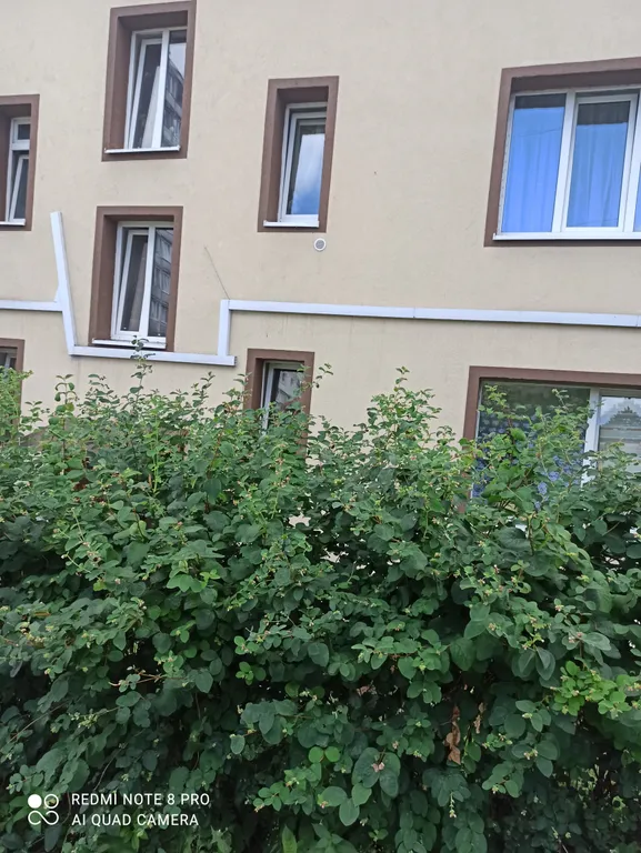 Квартира Романтическая квартира — Калининград