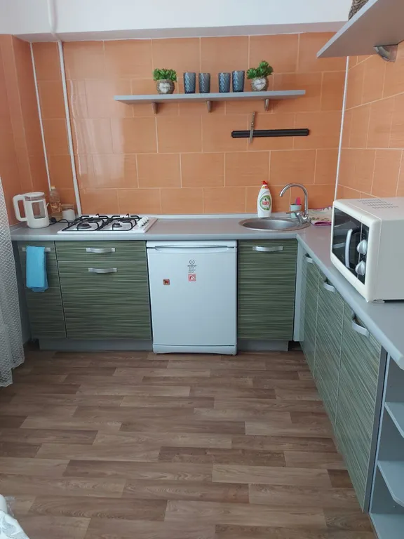 Уютная однокомнатная квартира