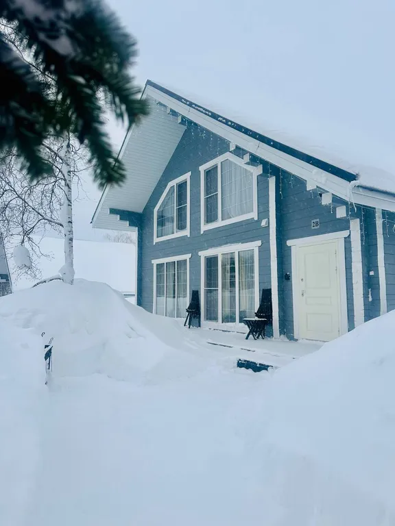 Коттедж премиум класса