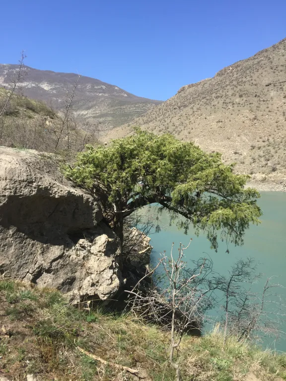 Сулакский каньон