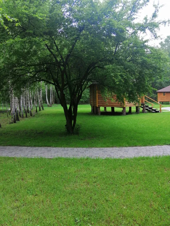 Уютные бунгало на лесной опушке