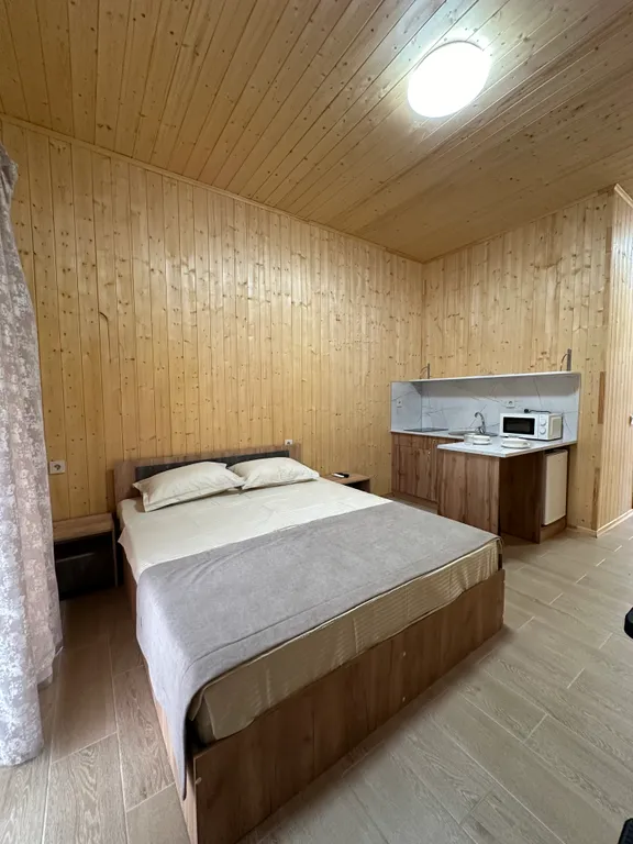 Экологичный домик у старого озера