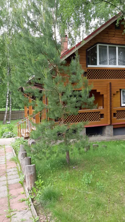 Уютный домик в березовой роще