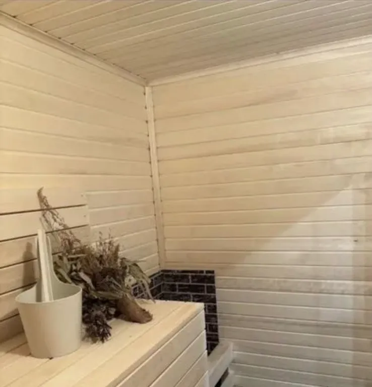 Дом с баней