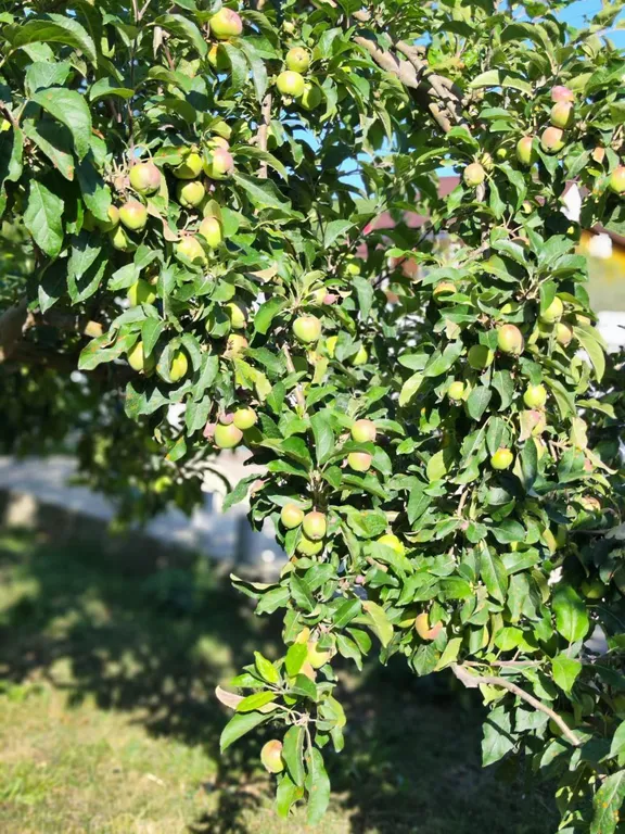 Двухквартирный дом недалеко от моря