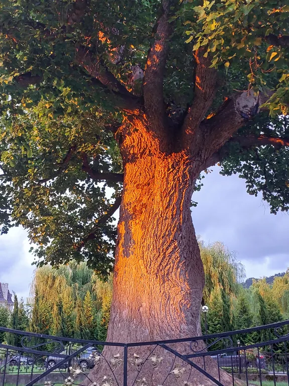 Квартира Апартаменты Моремирт — Головинка