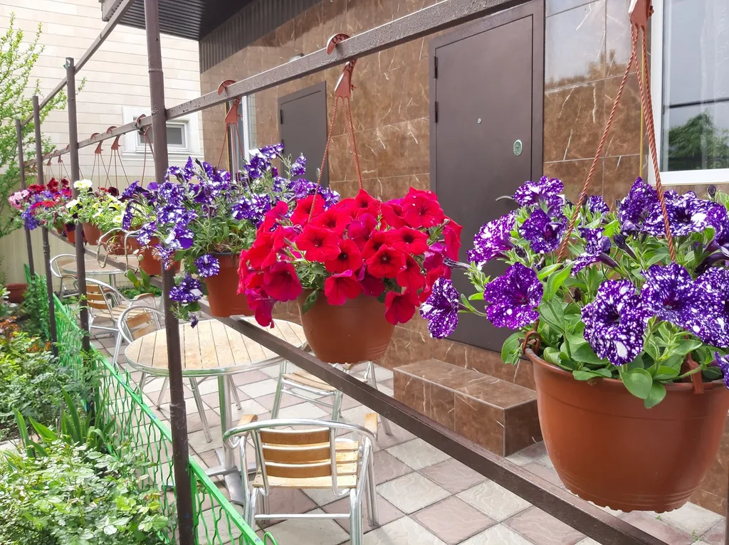 Коттедж Отдельный домик во дворе частного сектора — Анапа