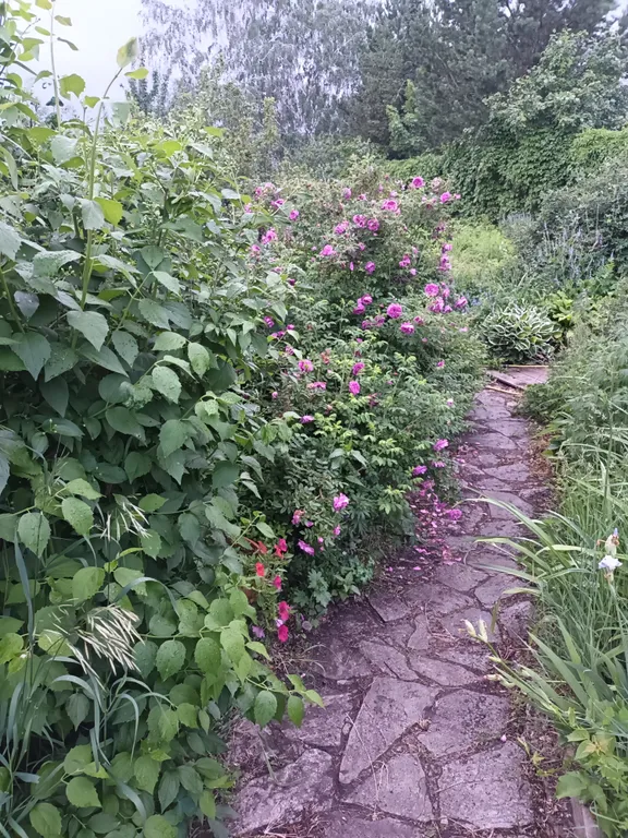 Дом у озера