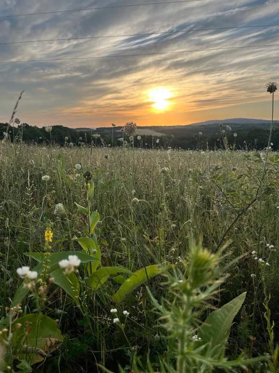 Коттедж Дизайнерский Барнхаус в природе Адыгеи — Новосвободная