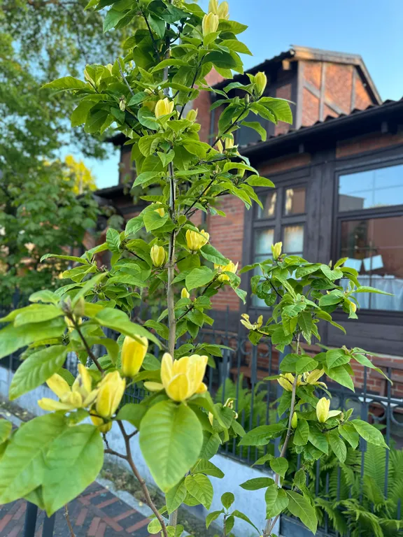 Уютная квартира на побережье Зеленоградска