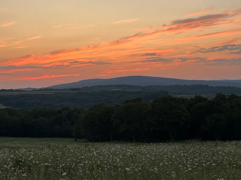 Дизайнерский дом