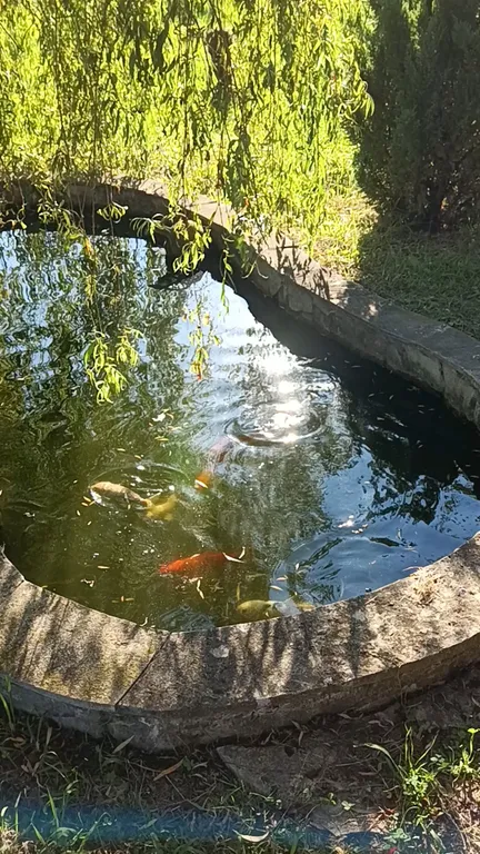 Вилла с парком под ключ