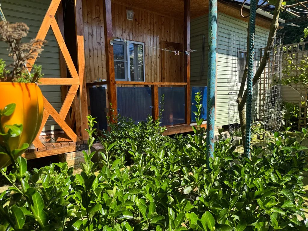 Коттедж Уютный домик — аренда посуточно в Цитрусовый