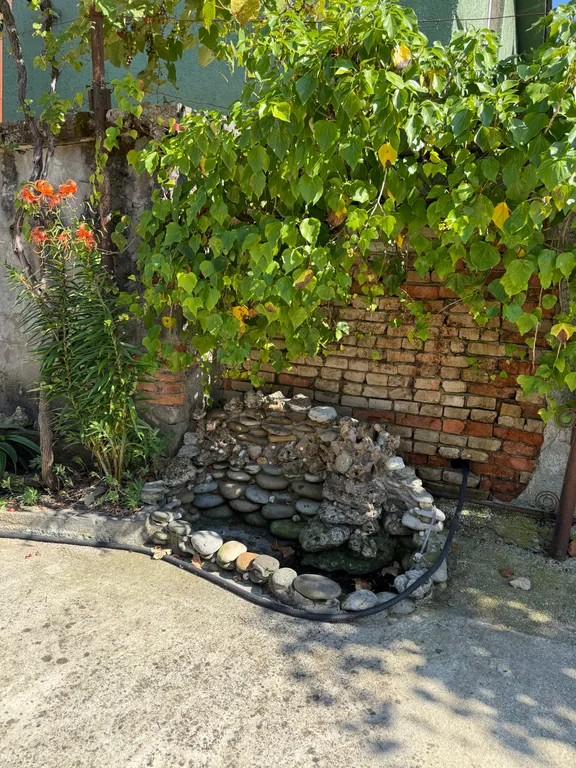 Уютные номера в городе Гудаута