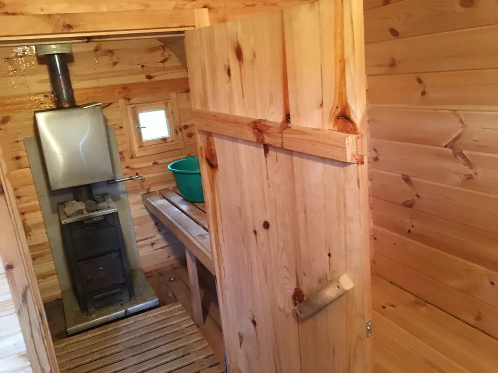 Дом с камином и видом на зимний лес