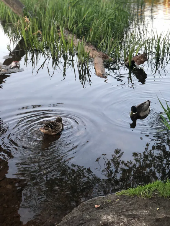 Часть жилого дома с отдельным входом