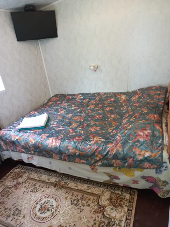 Буревестник