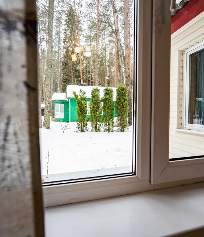 Коттедж Коттедж Уютная дача в литературной части — Санкт-Петербург