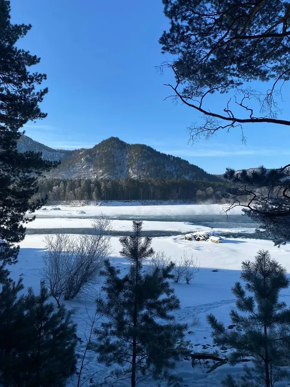 Дом посуточно "Счастливый Алтай"