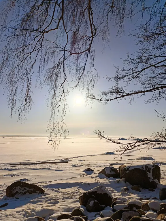 Уютные вечера у залива