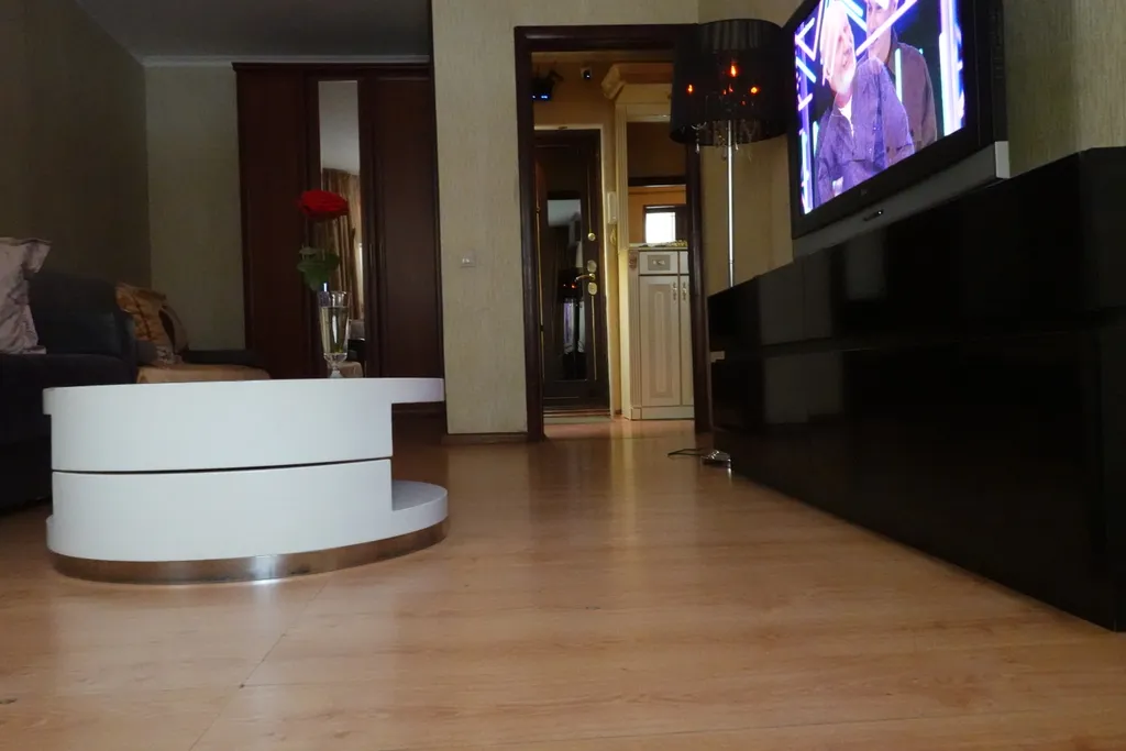 Apartment on Berezok