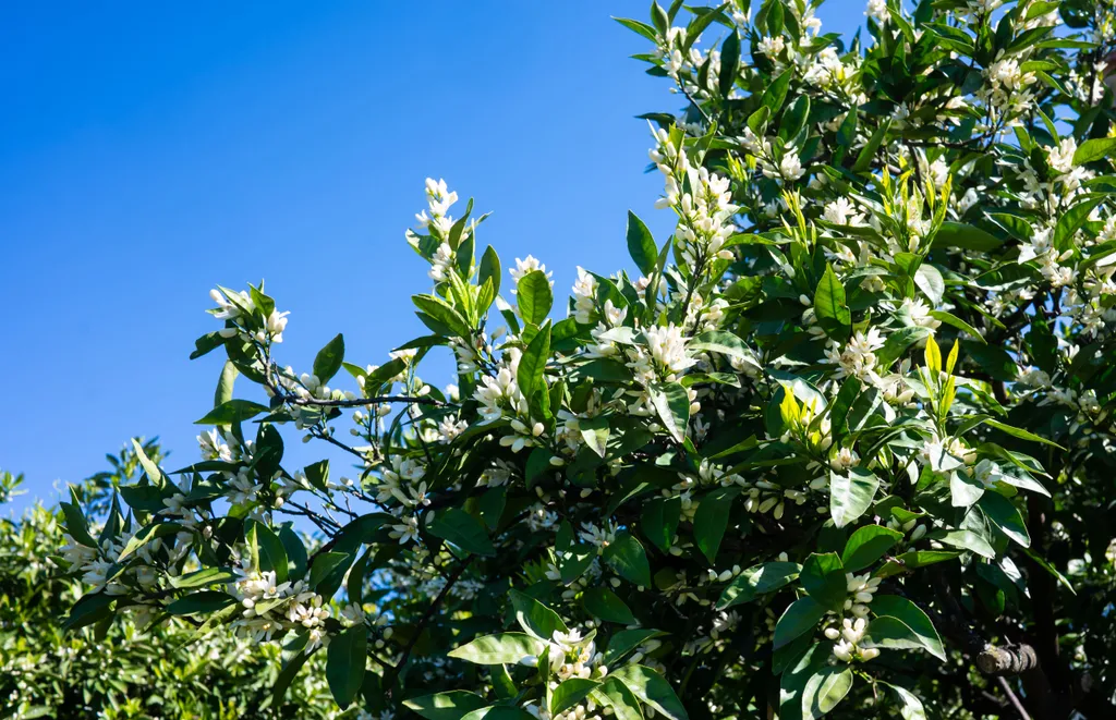 Гостевой дом с видом на море и горы