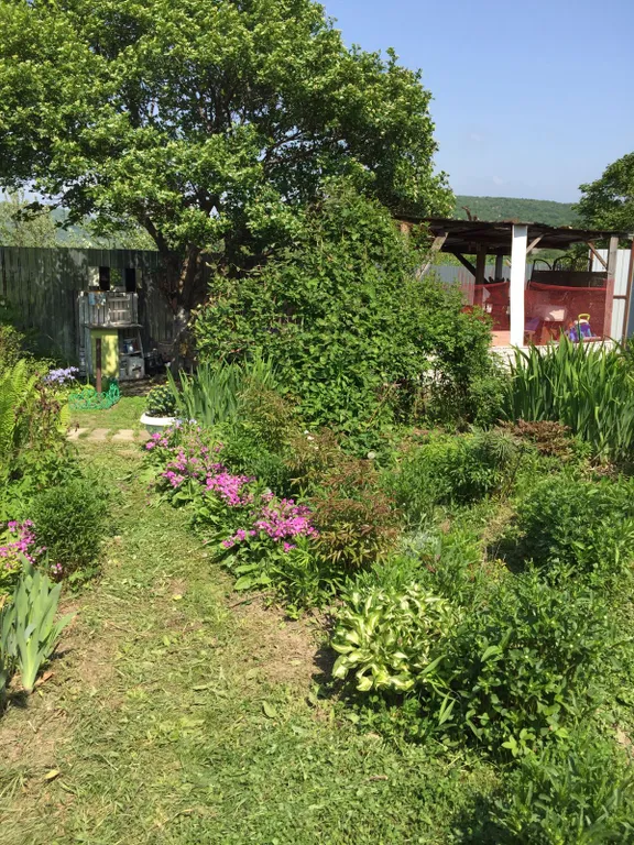 Дача бюджетная