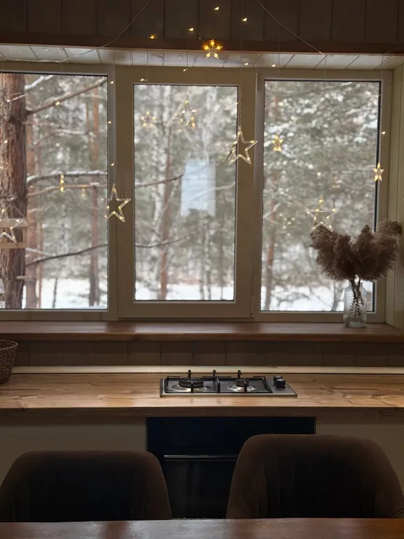 Дом на берегу Катуни